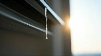 Summer Cold or AC Blues? How Air Conditioning Triggers Cold-Like Symptoms