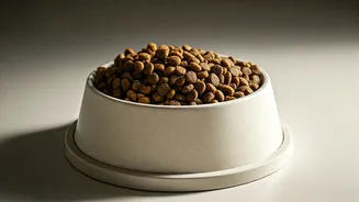 Breed-Specific Nutrition Makes Pet Care More Serious