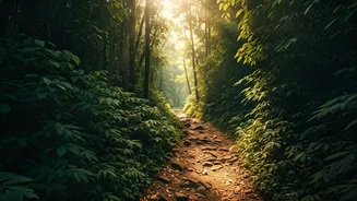 Trek Western Ghats Safely Using Crowdsourced Forest Maps