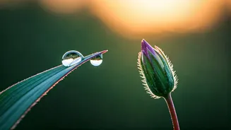 Virgo's March 31, 2026: Navigating Challenges with Patience and Love