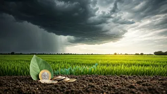 Markets, Monsoon And Money Are Deeply Connected