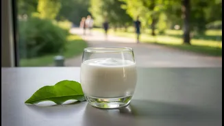 The Yoghurt-Plus-Walking Biological Age Trial Balances Interesting Signals With Weak Ingredient-Level Attribution