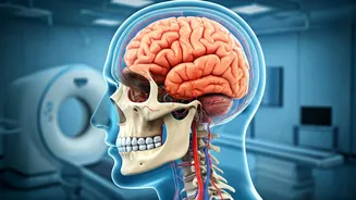 NASA Studies Bone and Brain Changes in Space