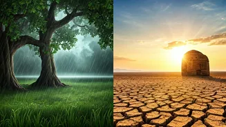 Weather Strategy Is India’s New Travel Superpower