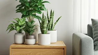 Low-Maintenance Greens Are The New Room Upgrade