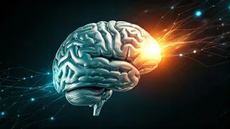 Beyond Automation, Creativity Drives Real Innovation