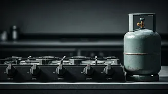 Delhi's Beloved Chhole Bhature Spot Shuts Down Amidst LPG Crisis