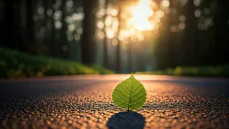 Short Walks Become Daily Habit