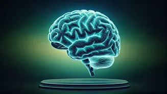 Related Stories banner