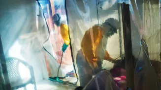 Overview of Recent Ebola Outbreaks and Historical Context