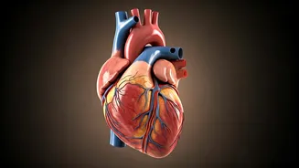 Heart Health: Unveiling the Secrets of a Strong Heart