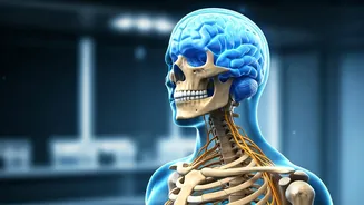 Unveiling the Magnesium Shift: Why Your Body Prioritizes It Over Bones After 50