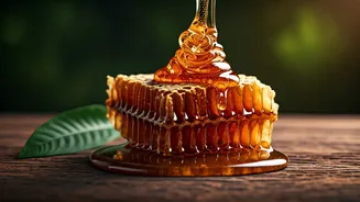 Africa's Sweetest Secrets: 5 Wild Honey Varieties You Must Taste