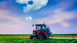 New Research Shows Why Agricultural Smoke Deserves Attention After Monsoon