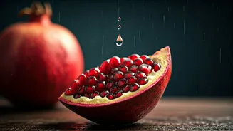 Slow Eating, Better Living This Monsoon