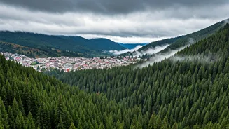 Cool Air, Folk Shows, Perfect Shimla Plan