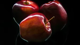 Valley Cooperatives Introduce Modern Storage Networks To Tackle Kashmir Apple Loss