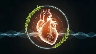 Heart Health Revealed: 5 Surprising Facts from a US Doctor to Protect Your Heart