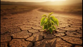 Why mental well-being focus makes 'quiet ambition' sustainable career path choice