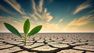Dry Mode Has Entered The Monsoon Chat