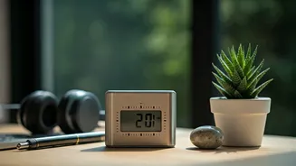 Reset Your Mind: Quick 2-Minute Memory Boost