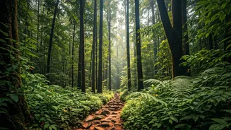 Discover Karnataka's Amazing Attractions