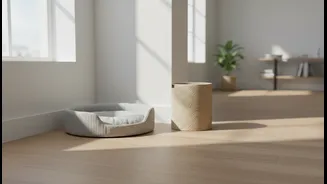 Do Not Crowd A Pet's Sleeping Zone With Constantly Used Storage