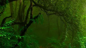 Monsoon Trekking Guide: What To Carry Before Hitting The Trail