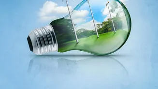 The State's Sustainable Travel Ambition Goes Beyond Green Marketing