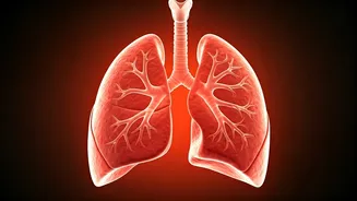 Boost Your Lung Health With Winter Exercises