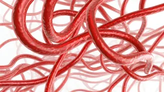 Yoga Poses for Winter Circulation: A Complete Guide