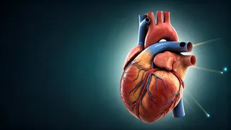 Heart Blockage Clues: Beyond Normal Blood Pressure & What Tests Reveal