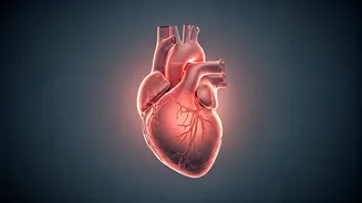 Silent Heart Attack: Unmasking Subtle Signs and Understanding the Hidden Dangers