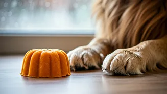 Freeze Pumpkin Mash Help Dogs Survive Rainy Days Indoors