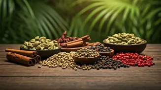 Kerala's Rise: Tourism Boom & Future Prospects