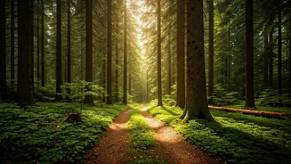 Hidden Delhi Forests: 5 Green Escapes!