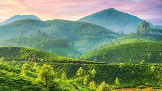 Discover A Different Side Of Assam During The Rainy Months