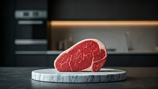 Alternative Proteins Are The Future-Food Flex