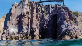 Coastal Ecosystems Can Store Carbon—Erosion May Put That Role at Risk