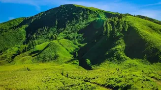 Post-Rain Landscapes Are Giving Weekend Travellers Fresh Reasons To Explore Nearby Nature