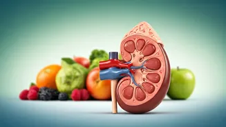 Navigating Your Health: Key Insights on Kidney and Cholesterol Management