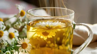 Herbal Steam And Sinus Relief Claims In Context: When Nasal Symptoms Need Medical Attention