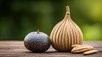 Ancient Indian Cleansing Secrets: Harnessing Nature's Power for Laundry