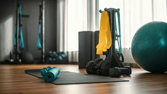 Beginner Fitness Is Trending For The Gym-Intimidated