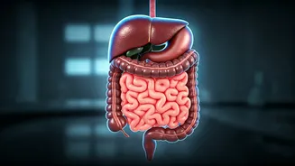 Beat the Bloat: Uncover Hidden Gut Triggers and Master Daily Habits for Fast Relief