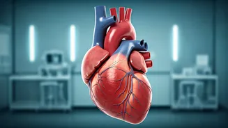 Avoid These Things For Heart Health After 30