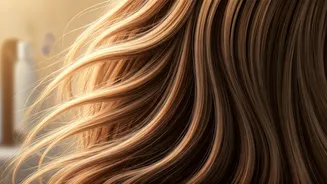 Related Stories banner