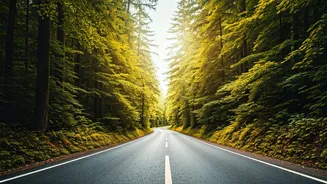 Scenic Journeys Beat Overpacked Travel Plans Sometimes