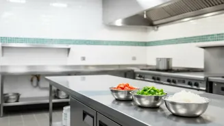 The Context Around Pest Control in Commercial Kitchens in Fresh Restaurant-Kitchen Inspections in India