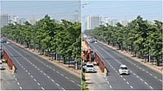 Mumbai Faces Tree Protests Over Road Project